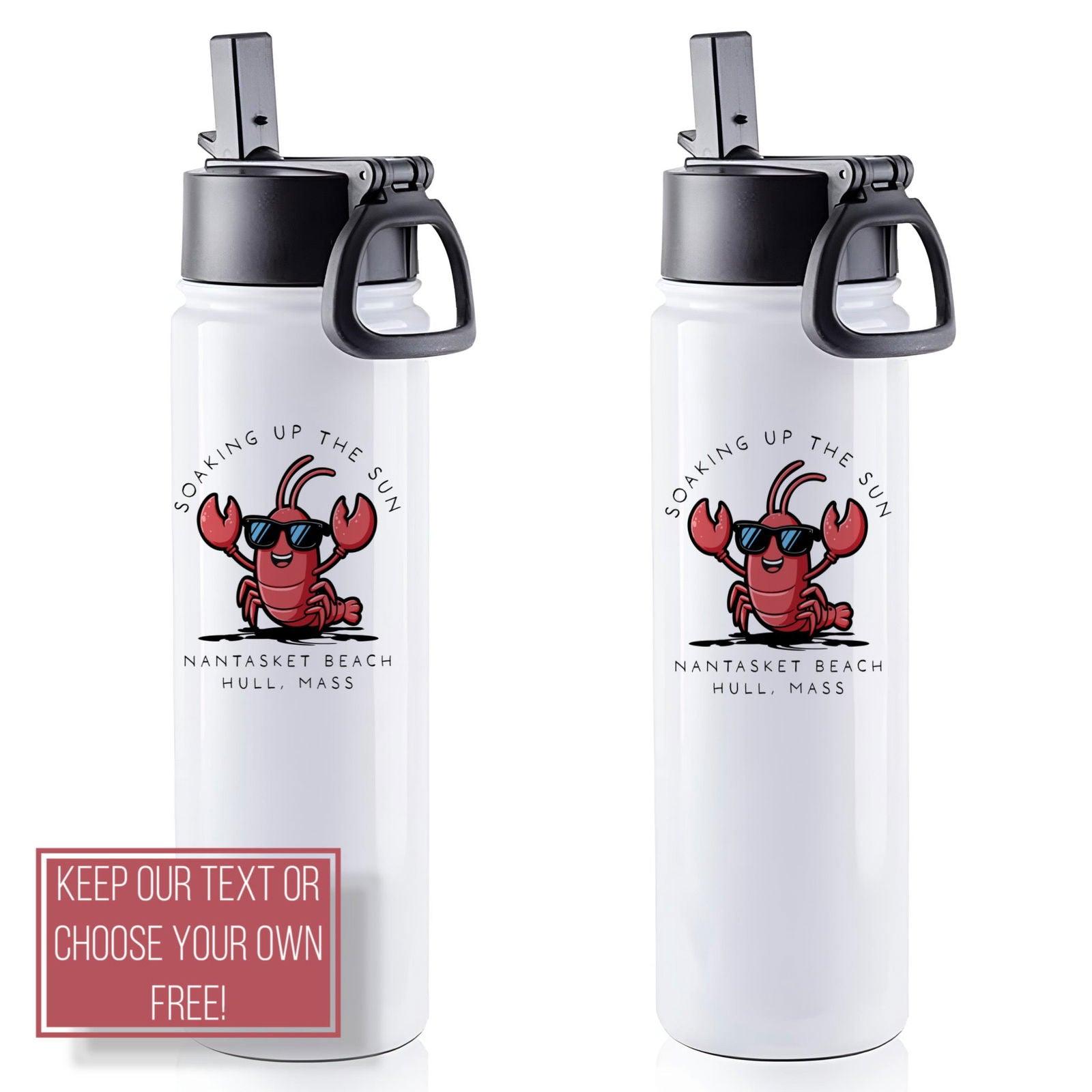 Hull MA, 22oz Stainless Steel Water Bottle - Baby Squid Ink